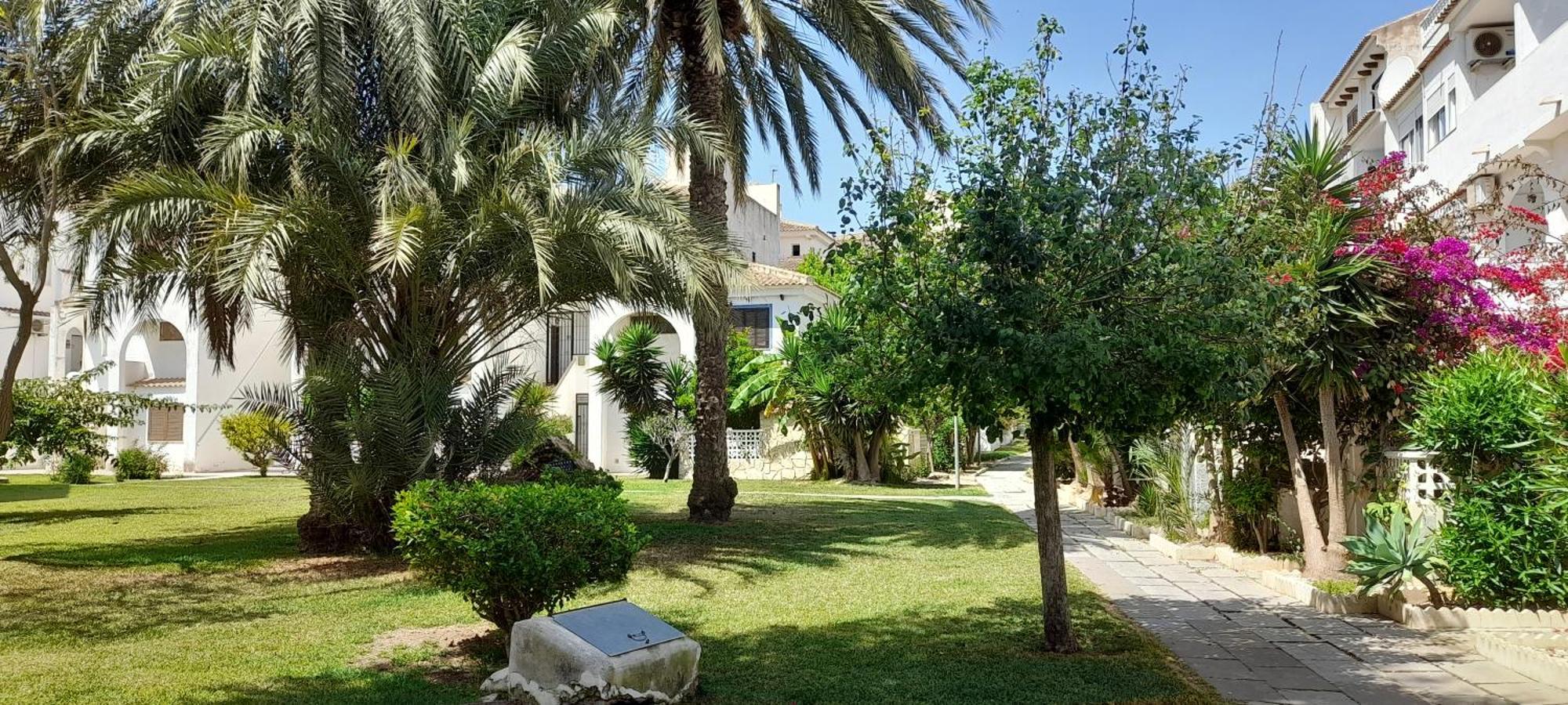 Apartment Los Locos Beach With Balcony And Wi-Fi Торрев'єха Екстер'єр фото